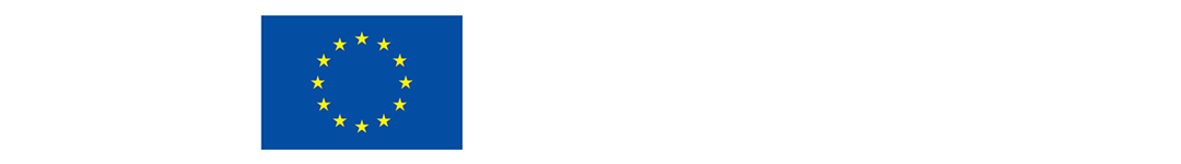 Co-funded by the European Union - logo