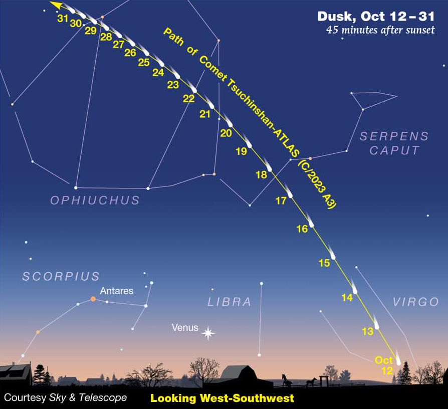 Comet Visibility. Sky & Telescope.