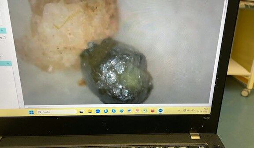 Young Planetary Detectives on a Micrometeorite Mission