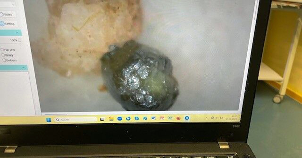 Micrometeorite